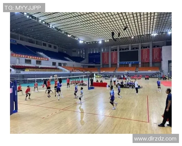 深圳排球队逆袭之路揭秘精英赛背后的奋斗与荣耀